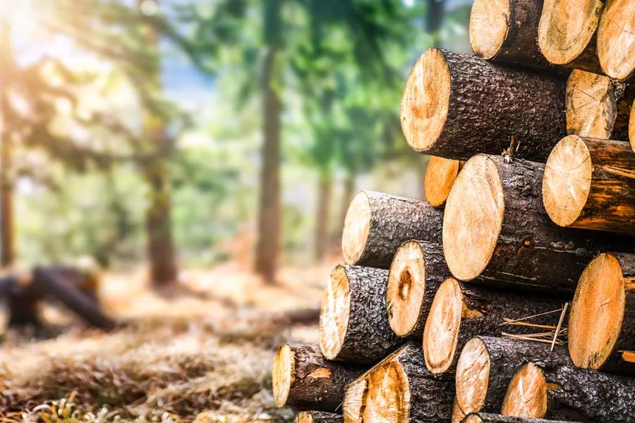 Ekonomiska vinster med hållbara byggmaterial